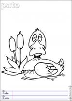 coloriage-canard-1